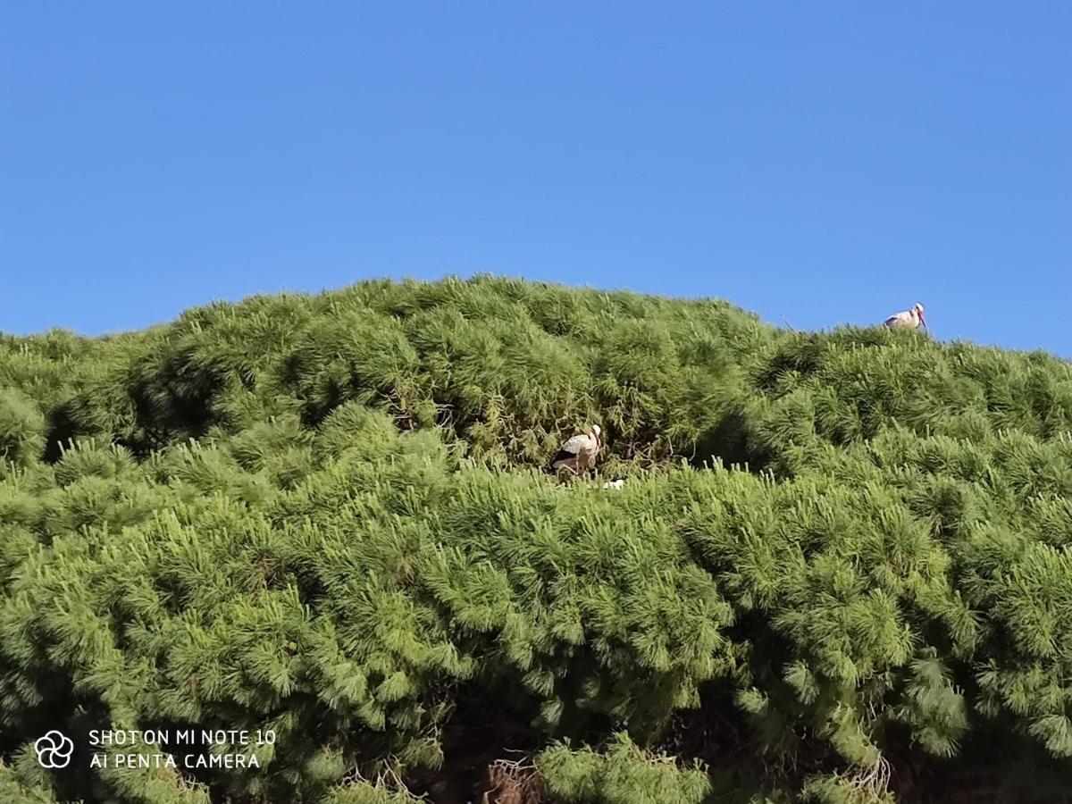 Pueblos Blancos Vejer de la Frontera Zewnętrze zdjęcie