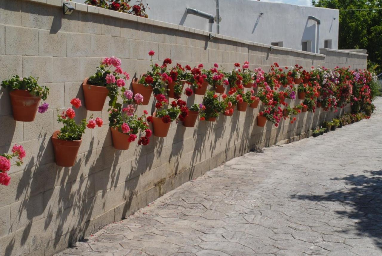 Pueblos Blancos Vejer de la Frontera Zewnętrze zdjęcie