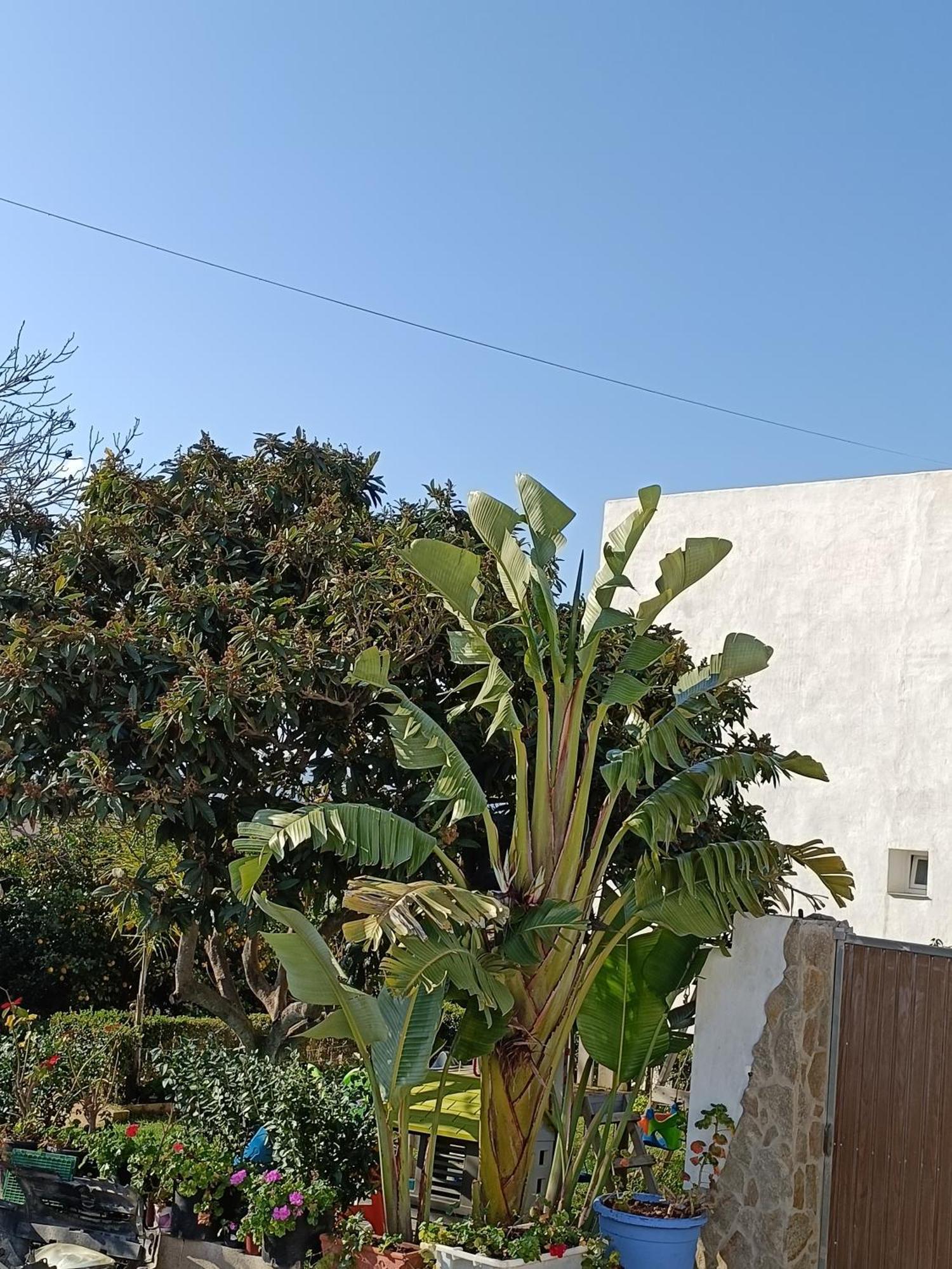 Pueblos Blancos Vejer de la Frontera Zewnętrze zdjęcie